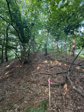 $220,000 | Lot G Lot G Hemlock Trail, Shelby, MI 49455