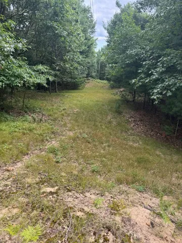 $220,000 | Lot G Lot G Hemlock Trail, Shelby, MI 49455