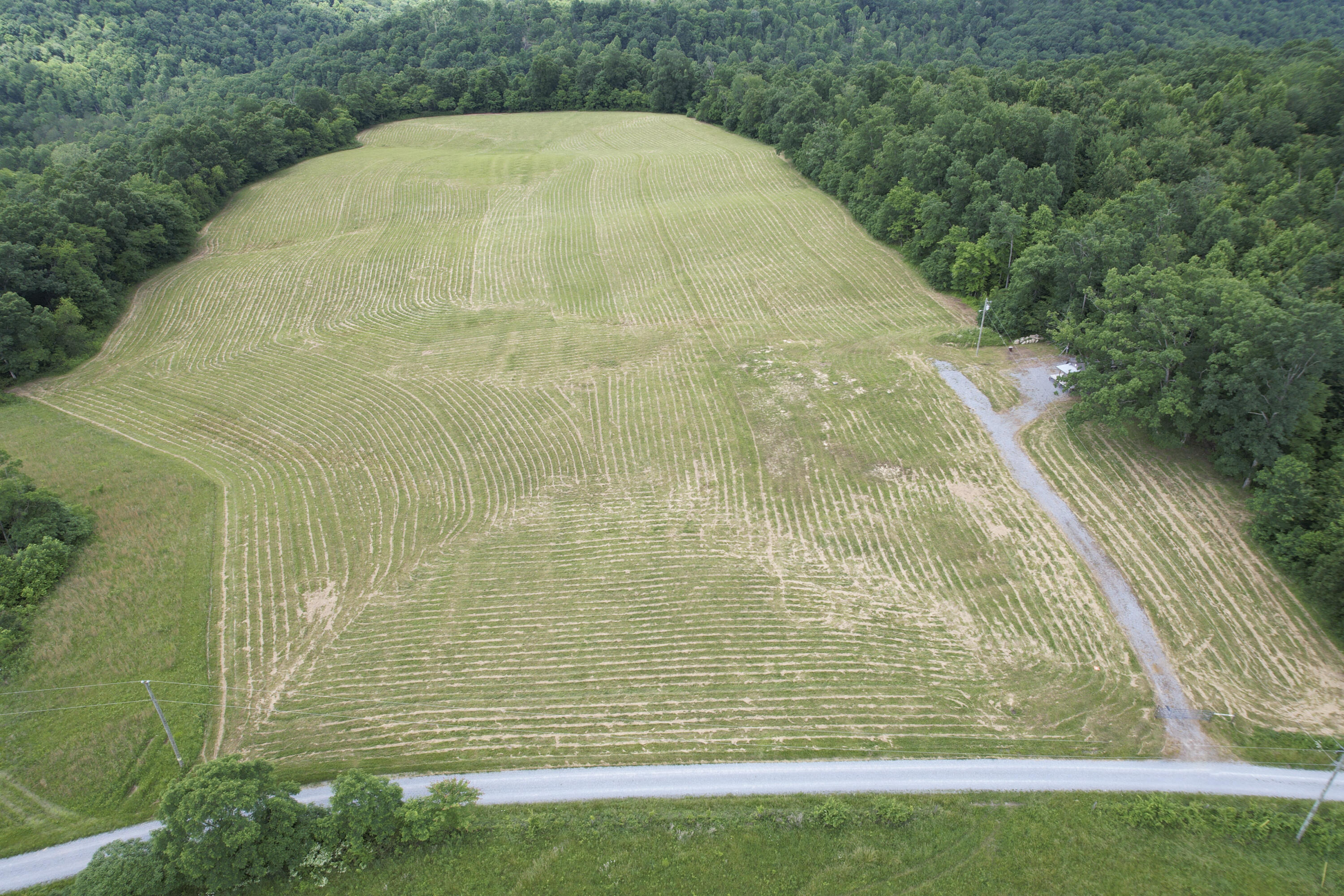 Tbd Tbd Mcroberts Road Wallingford, KY 41093 - Photo 13 of 16 DJI_0016