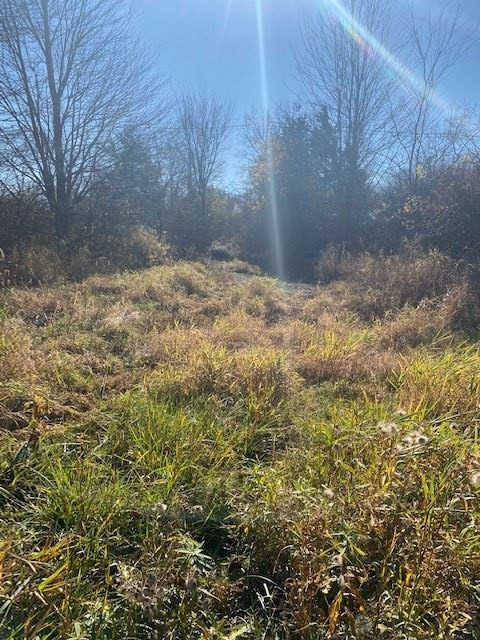 Vl Jefferson Road Clarklake, MI 49234 - Photo 1 of 9 Photo 1