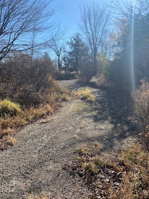 Vl Jefferson Road Clarklake, MI 49234 - Photo 5 of 9 Photo 5
