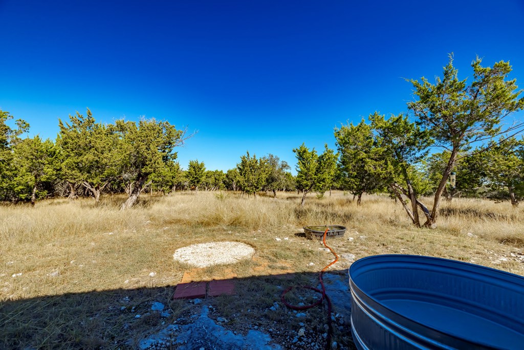 635 Fallow Run Hunt, TX 78024 - Photo 6 of 20