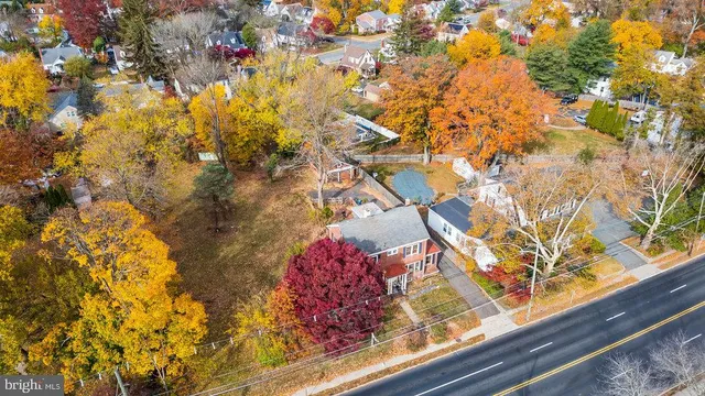 a view of a garden from a window