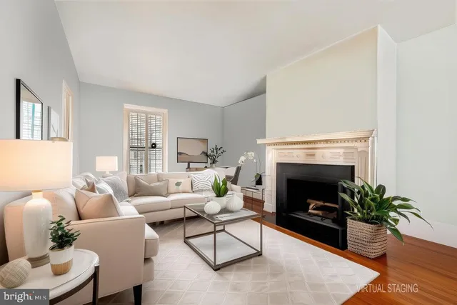 a living room with furniture a fireplace and a potted plant