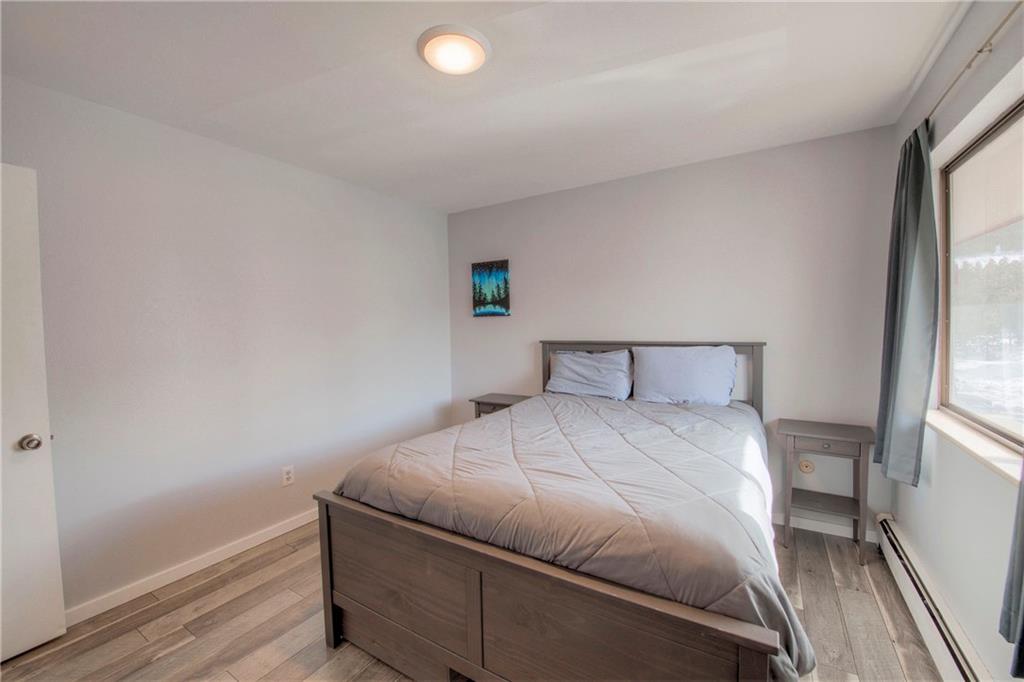 150 Evergreen Road, Unit 303 Dillon, CO 80435 - Photo 11 of 17 Gallery Image 11
