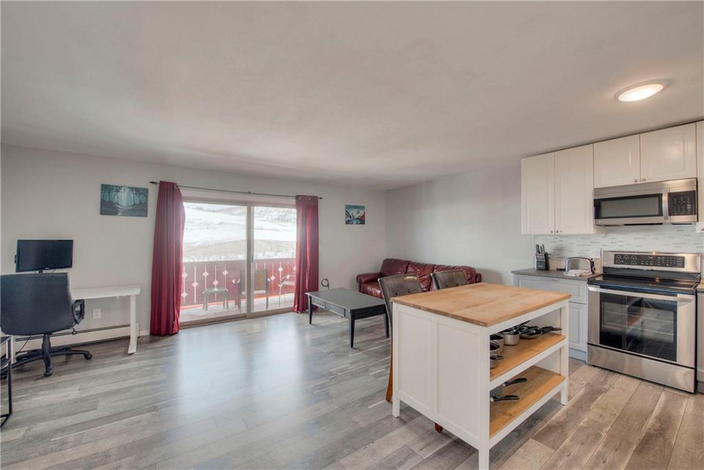 150 Evergreen Road, Unit 303 Dillon, CO 80435 - Photo 5 of 17 Gallery Image 5