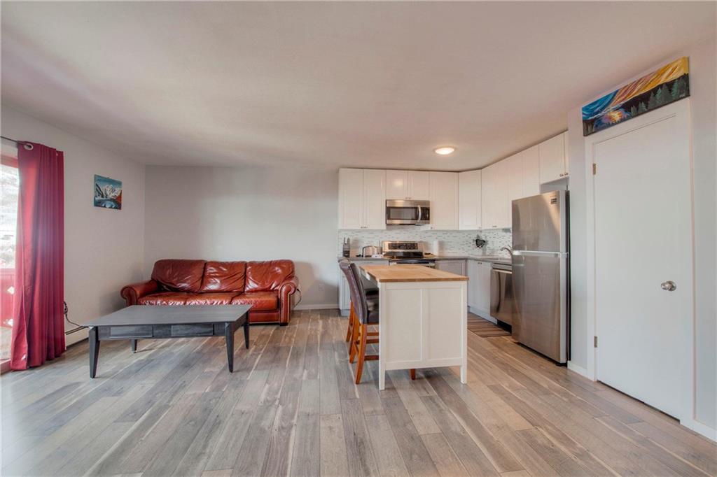 150 Evergreen Road, Unit 303 Dillon, CO 80435 - Photo 6 of 17 Gallery Image 6