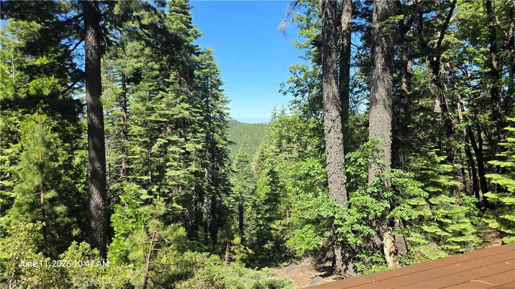 0 Fish Creek Forest Ranch, CA 95942 - Photo 19 of 43 Gorgeous Views from back deck