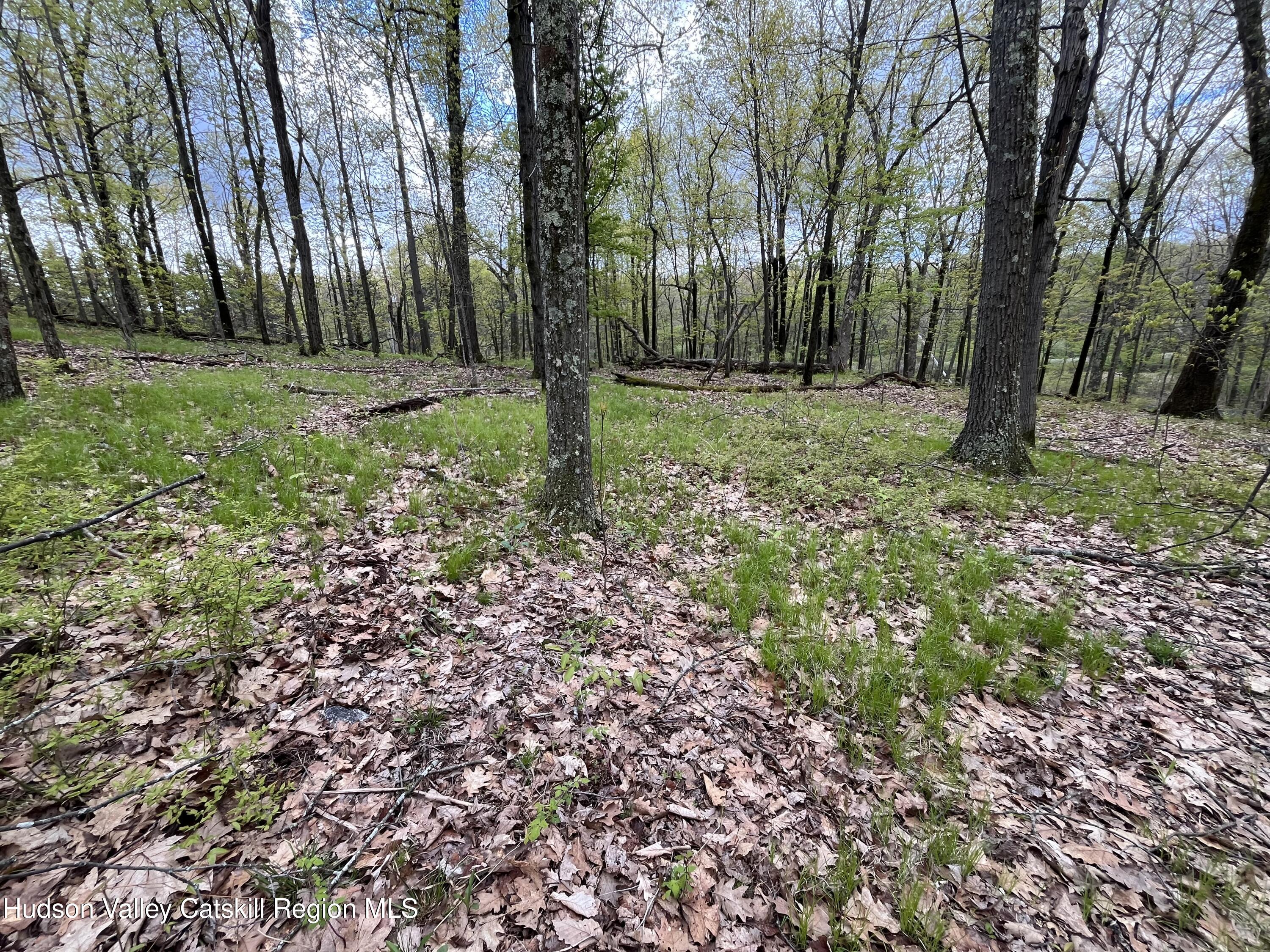 Tbd Cold Spring Road Clinton Corners, NY 12514 - Photo 11 of 17 a view of outdoor space with trees
