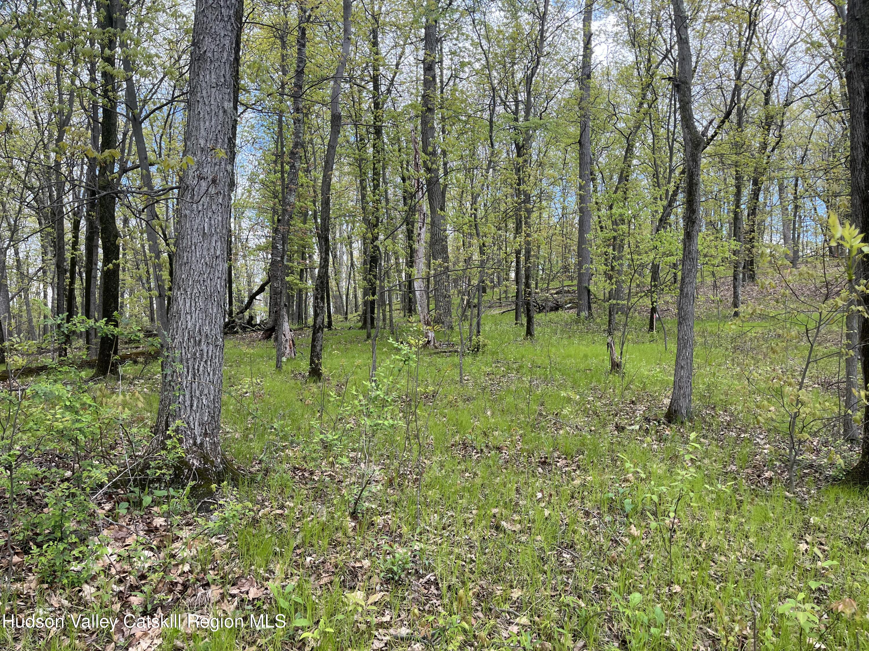 Tbd Cold Spring Road Clinton Corners, NY 12514 - Photo 14 of 17 a view of outdoor space with green field and trees