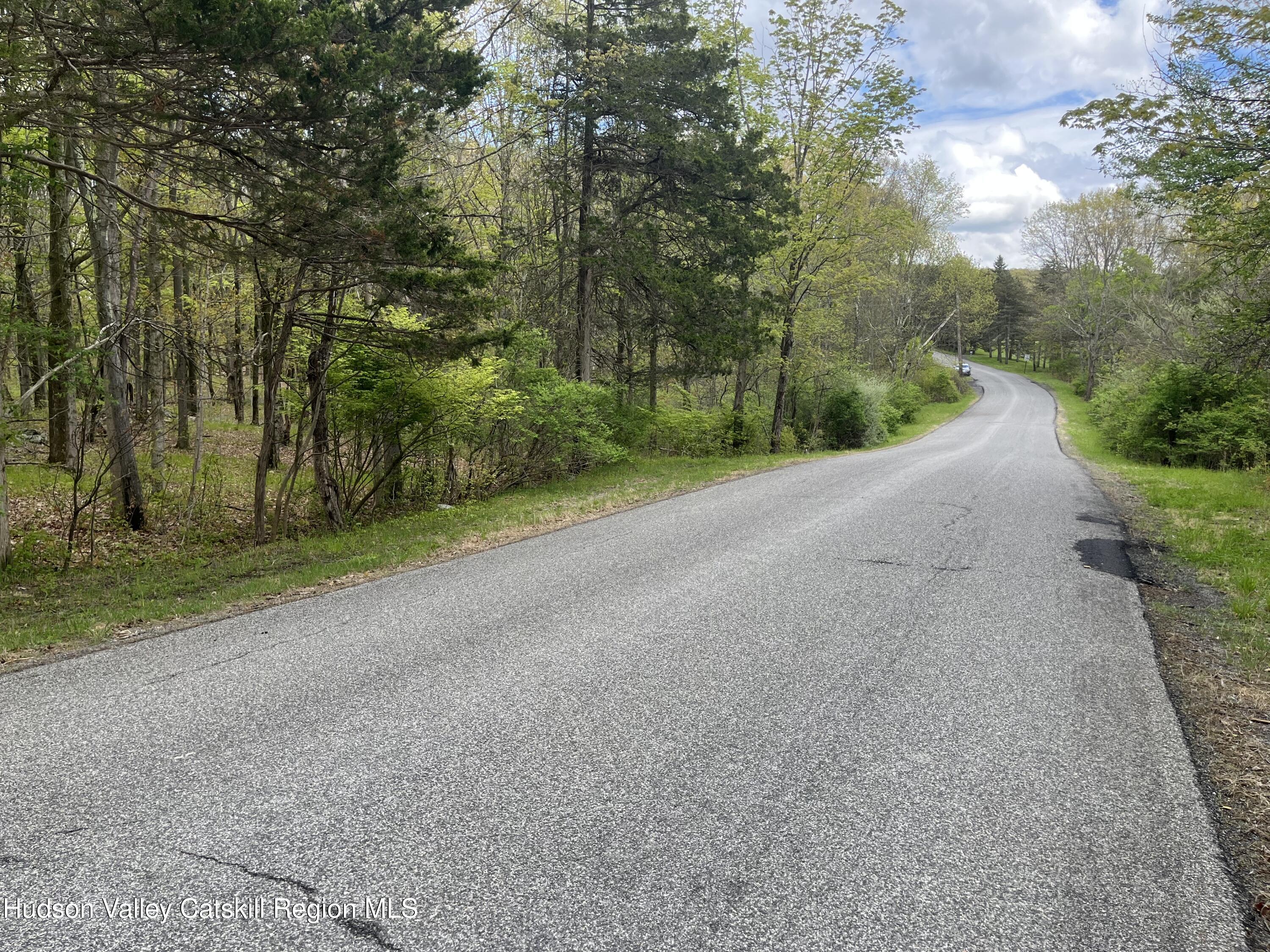 Tbd Cold Spring Road Clinton Corners, NY 12514 - Photo 15 of 17 a view of a road with a trees