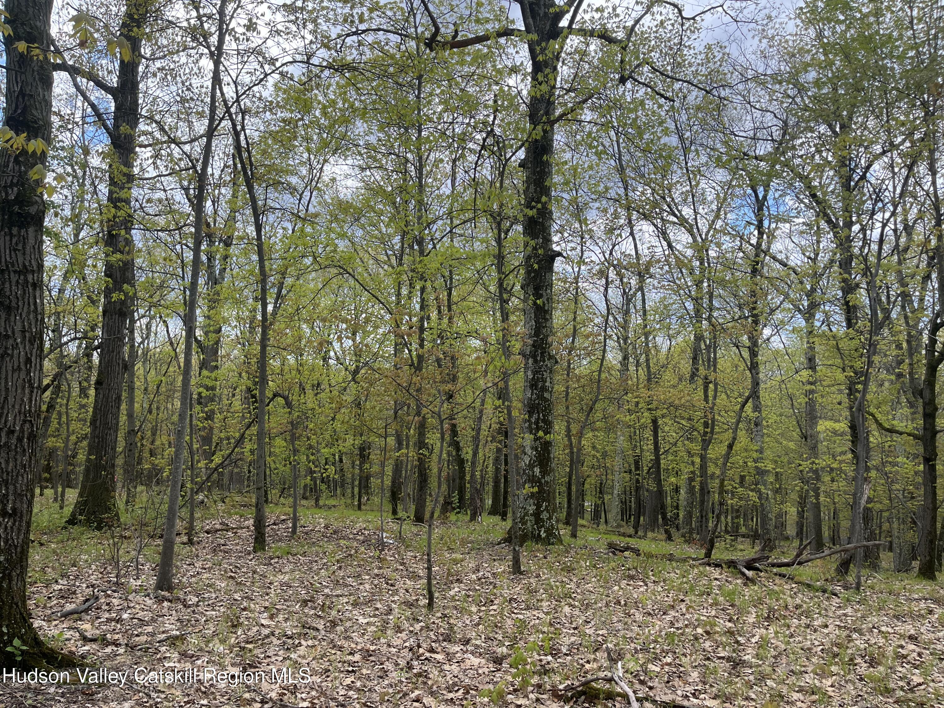 Tbd Cold Spring Road Clinton Corners, NY 12514 - Photo 2 of 17 a view of an outdoor space
