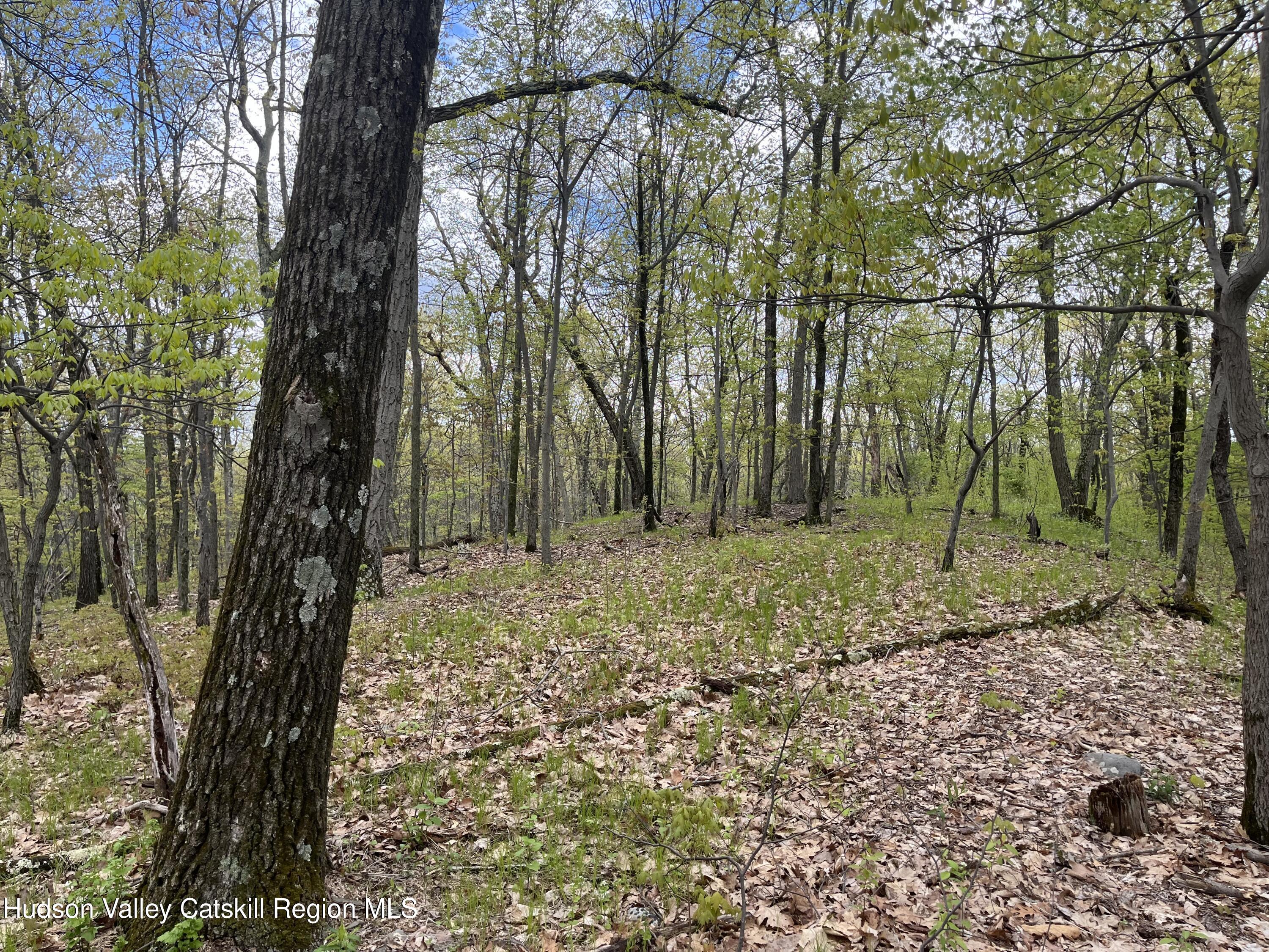 Tbd Cold Spring Road Clinton Corners, NY 12514 - Photo 3 of 17 a view of outdoor space with trees