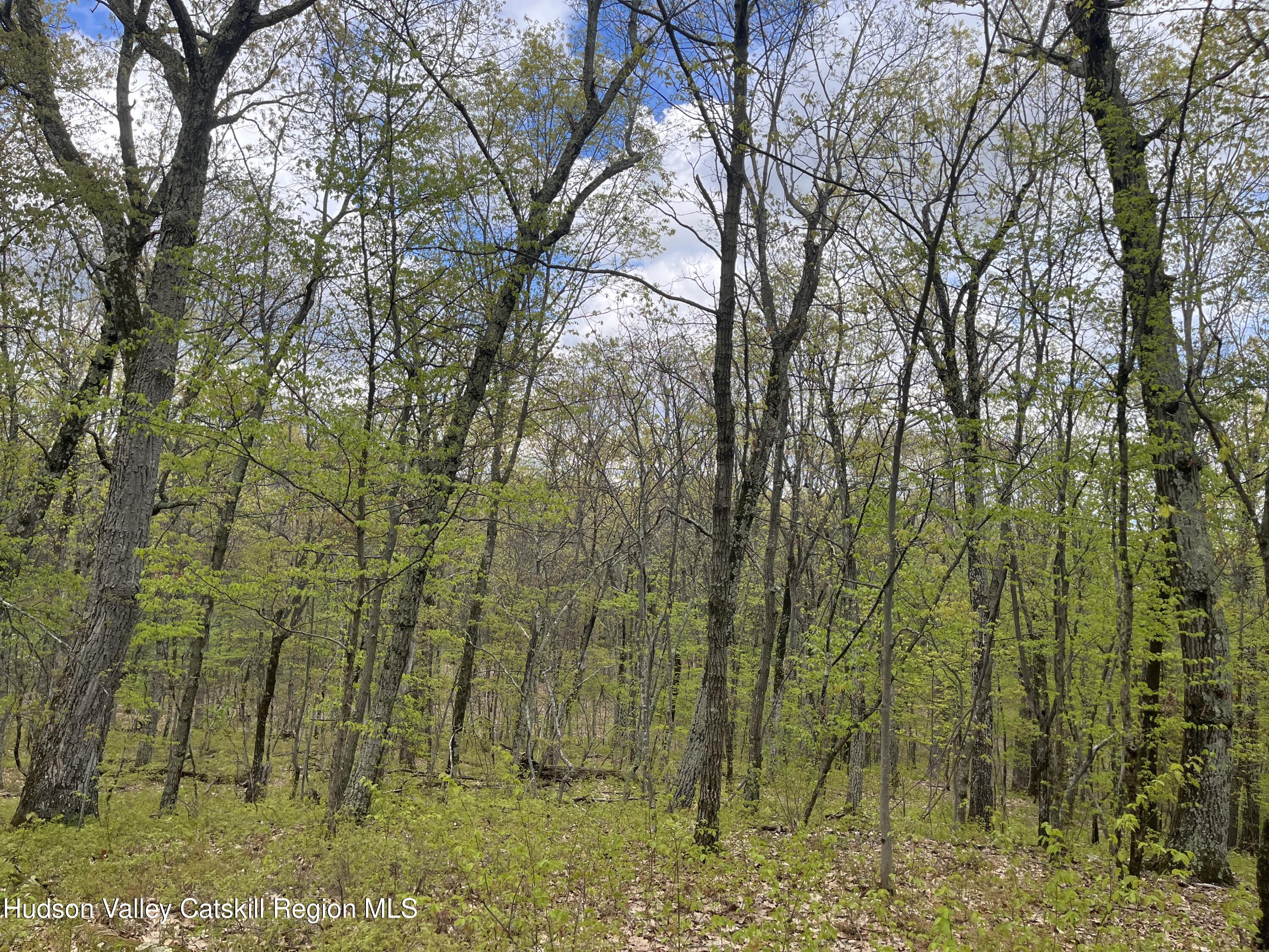 Tbd Cold Spring Road Clinton Corners, NY 12514 - Photo 5 of 17