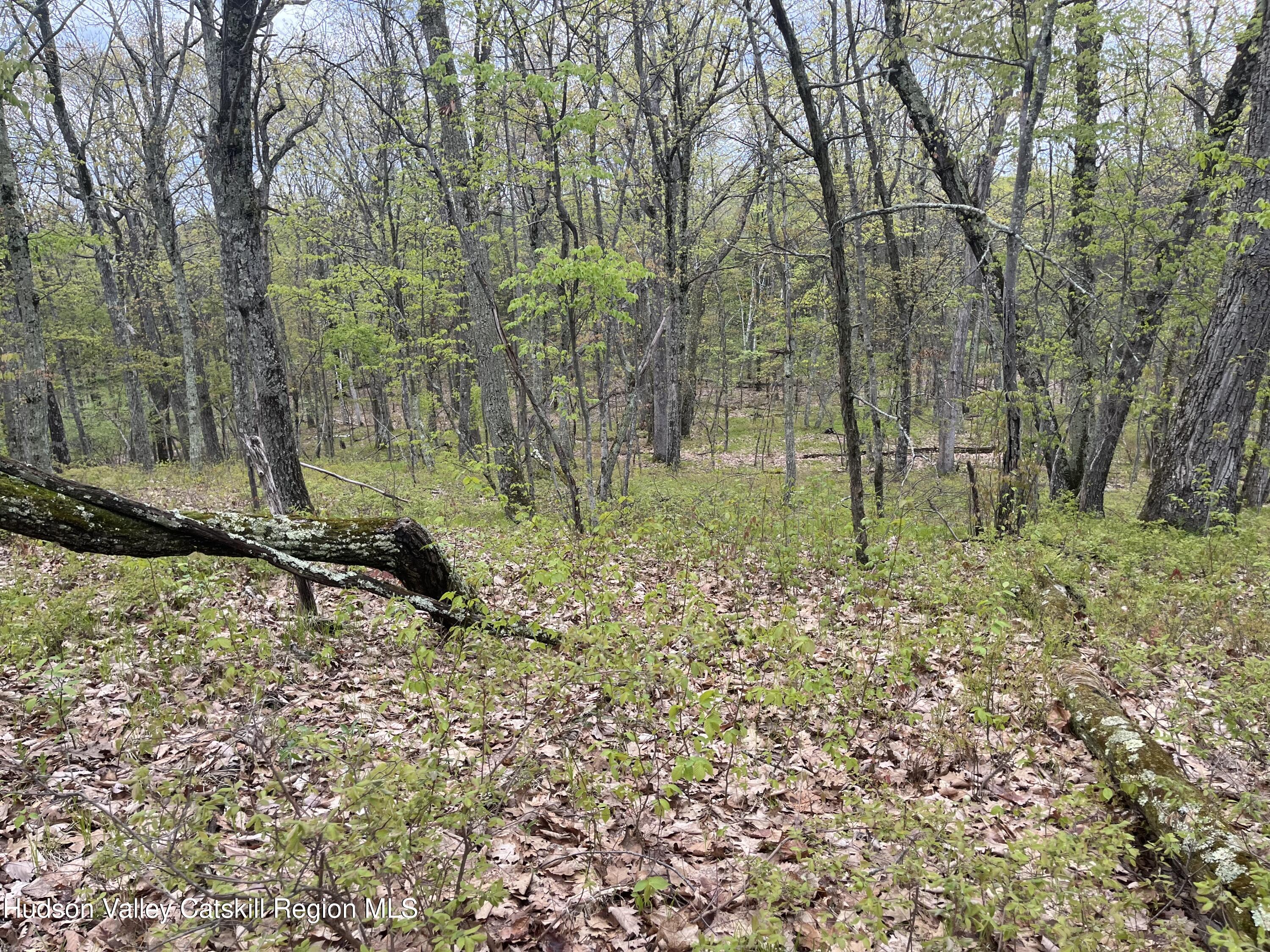 Tbd Cold Spring Road Clinton Corners, NY 12514 - Photo 7 of 17 a backyard of a house with lots of green space
