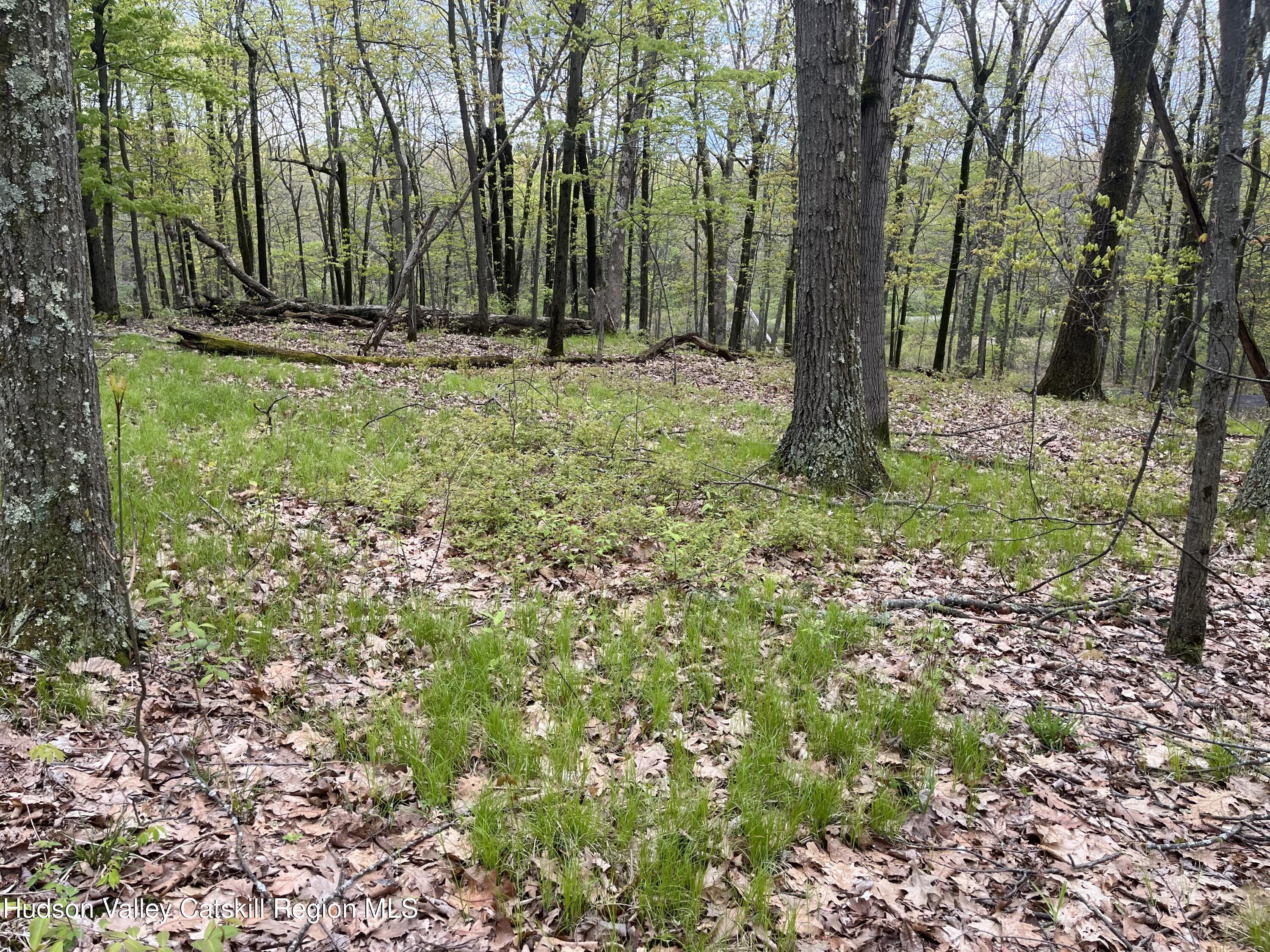 Tbd Cold Spring Road Clinton Corners, NY 12514 - Photo 9 of 17 a view of outdoor space with trees