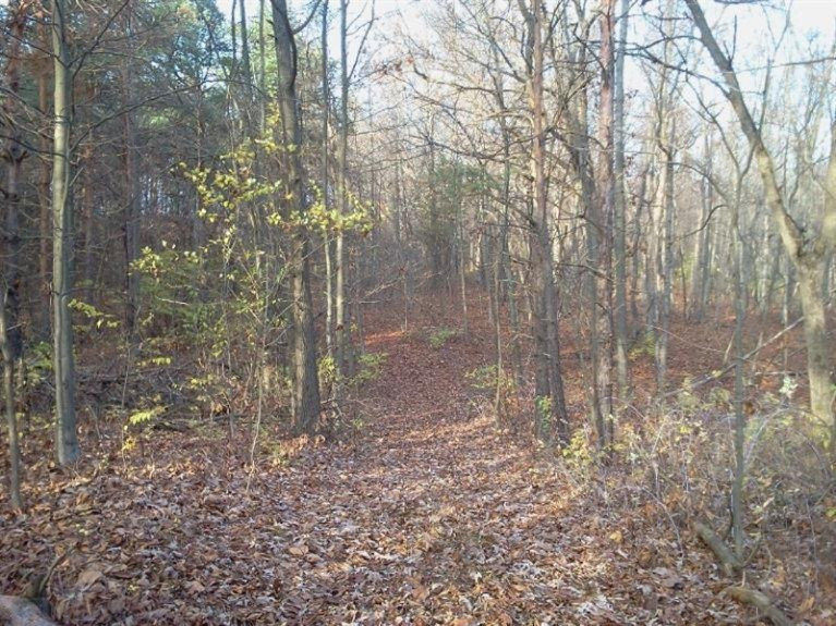 12955 Strotheide Road Northeast Belding, MI 48809 - Photo 17 of 22 Additional Photo