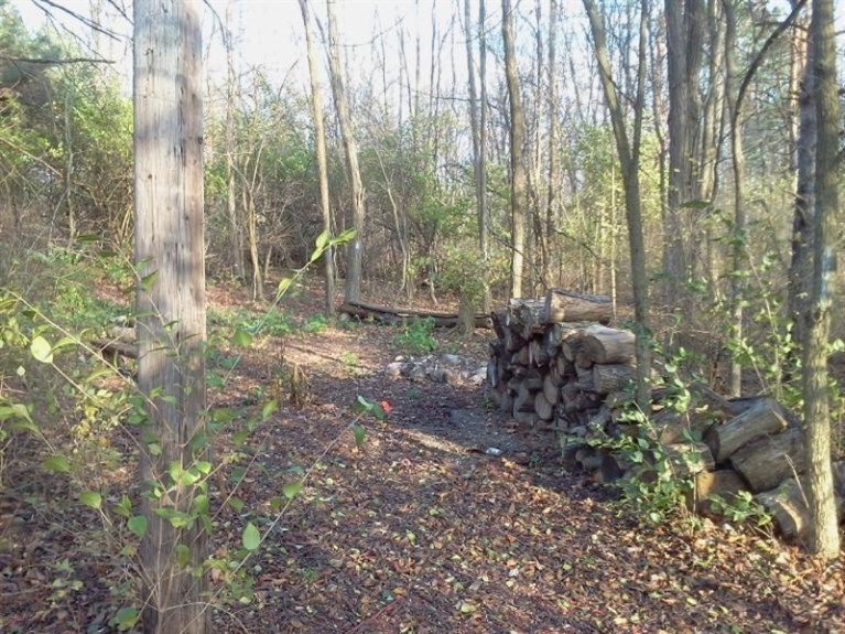 12955 Strotheide Road Northeast Belding, MI 48809 - Photo 20 of 22 Additional Photo