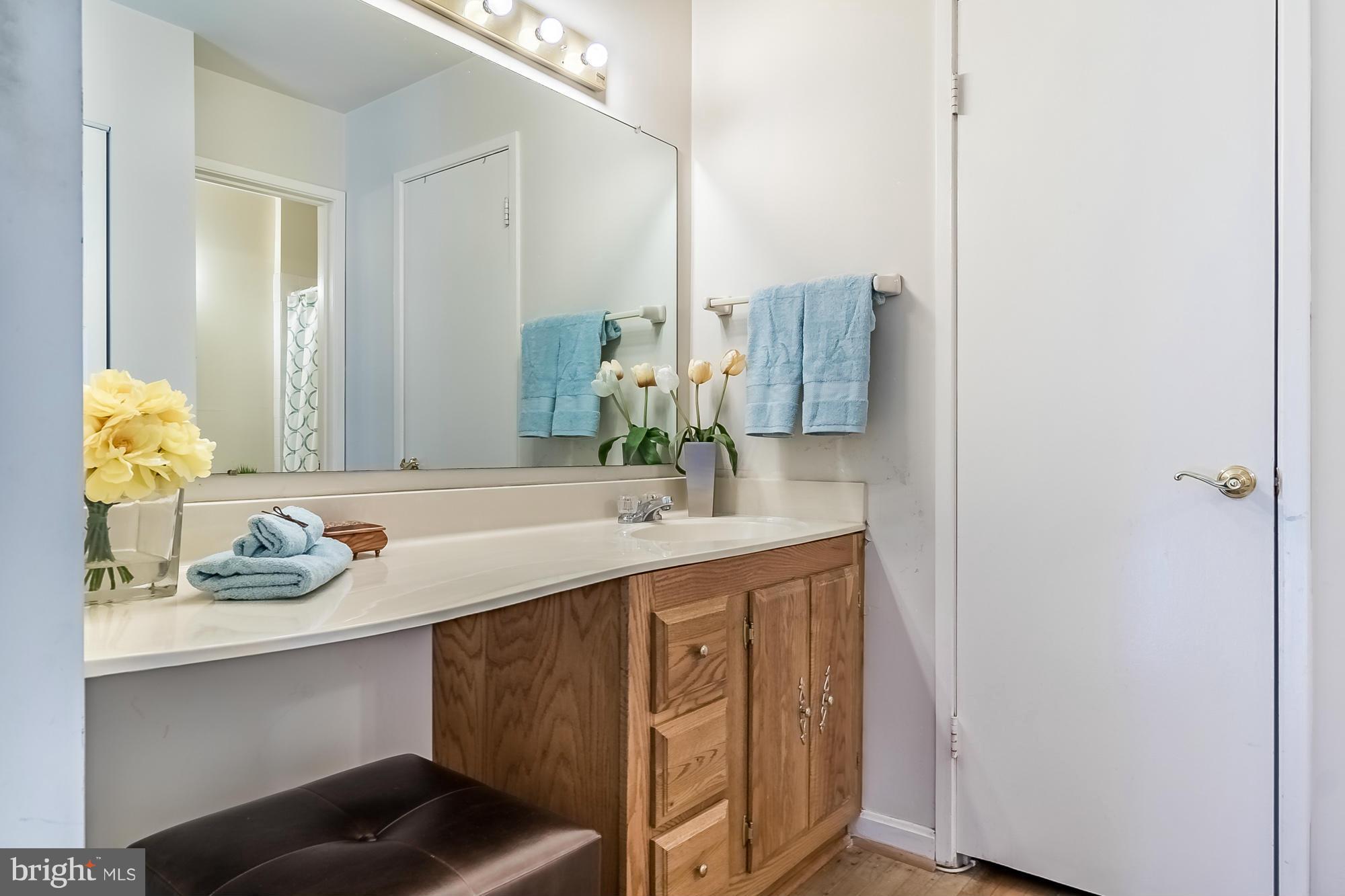 8036 Inverness Ridge Road Potomac, MD 20854 - Photo 18 of 30 Bath (Master)
