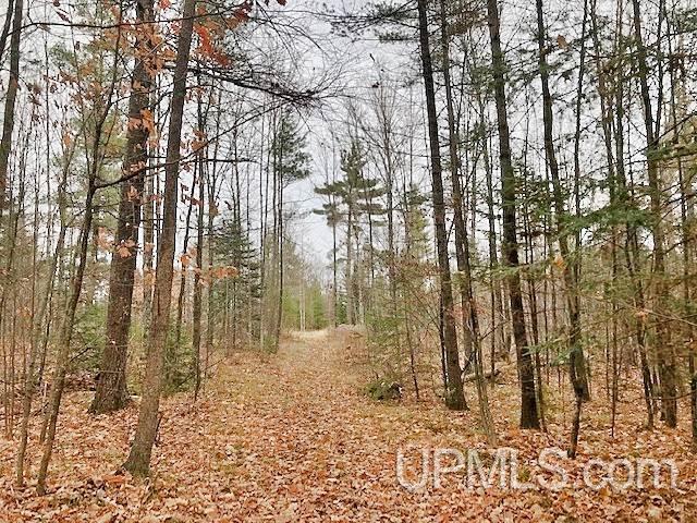 W7327 Barker Road Amberg, WI 54102 - Photo 6 of 14 Gallery Image 6