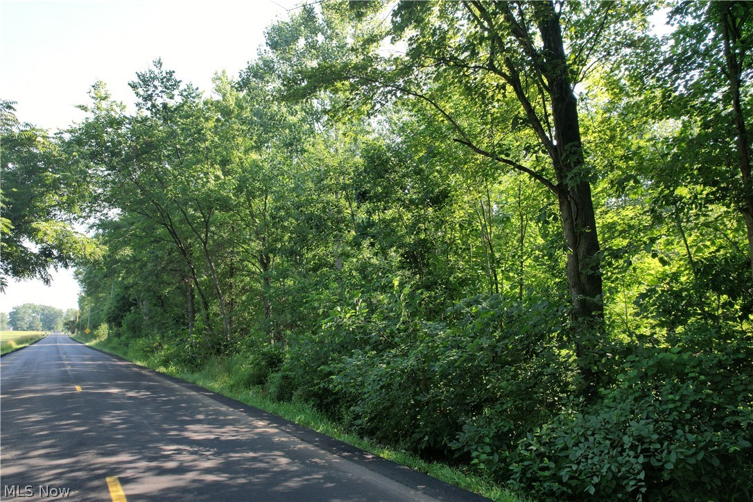 North Mahoning Portage County Line Road Lake Milton, OH 44429 - Photo 9 of 15 Gallery Image 9