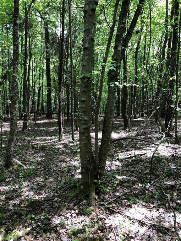 0 McNeely Road, Unit 5 Waxhaw, NC 28173 - Photo 11 of 13
