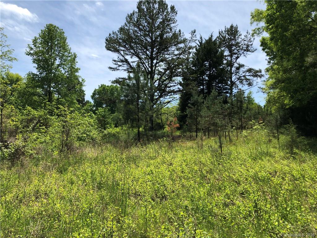 0 McNeely Road, Unit 5 Waxhaw, NC 28173 - Photo 10 of 13