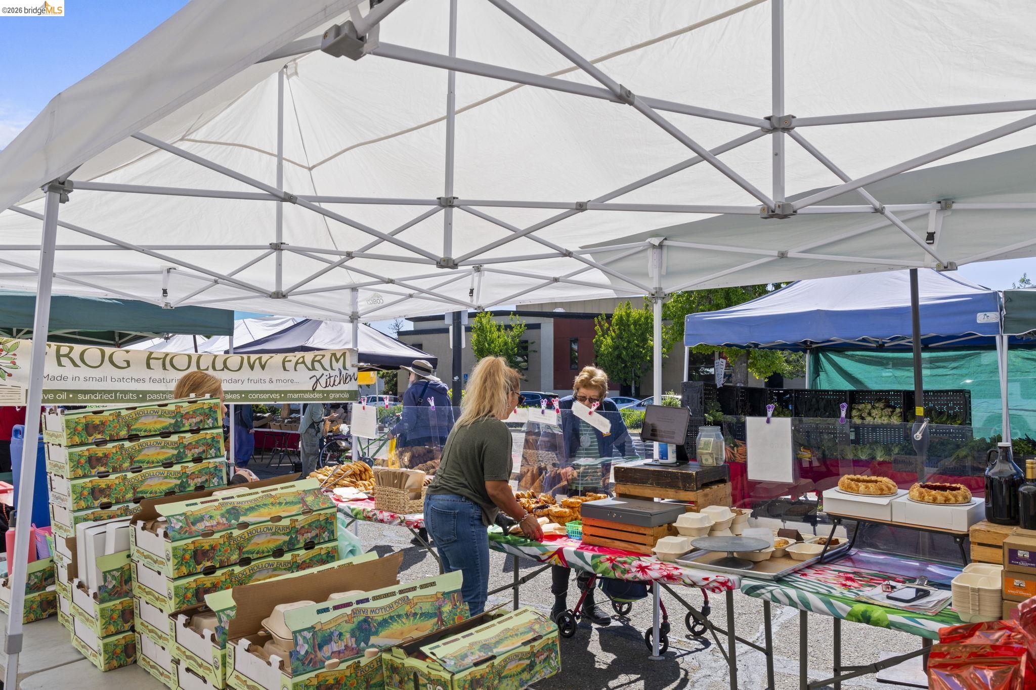 1325 Henry Street Berkeley, CA 94709 - Photo 41 of 42