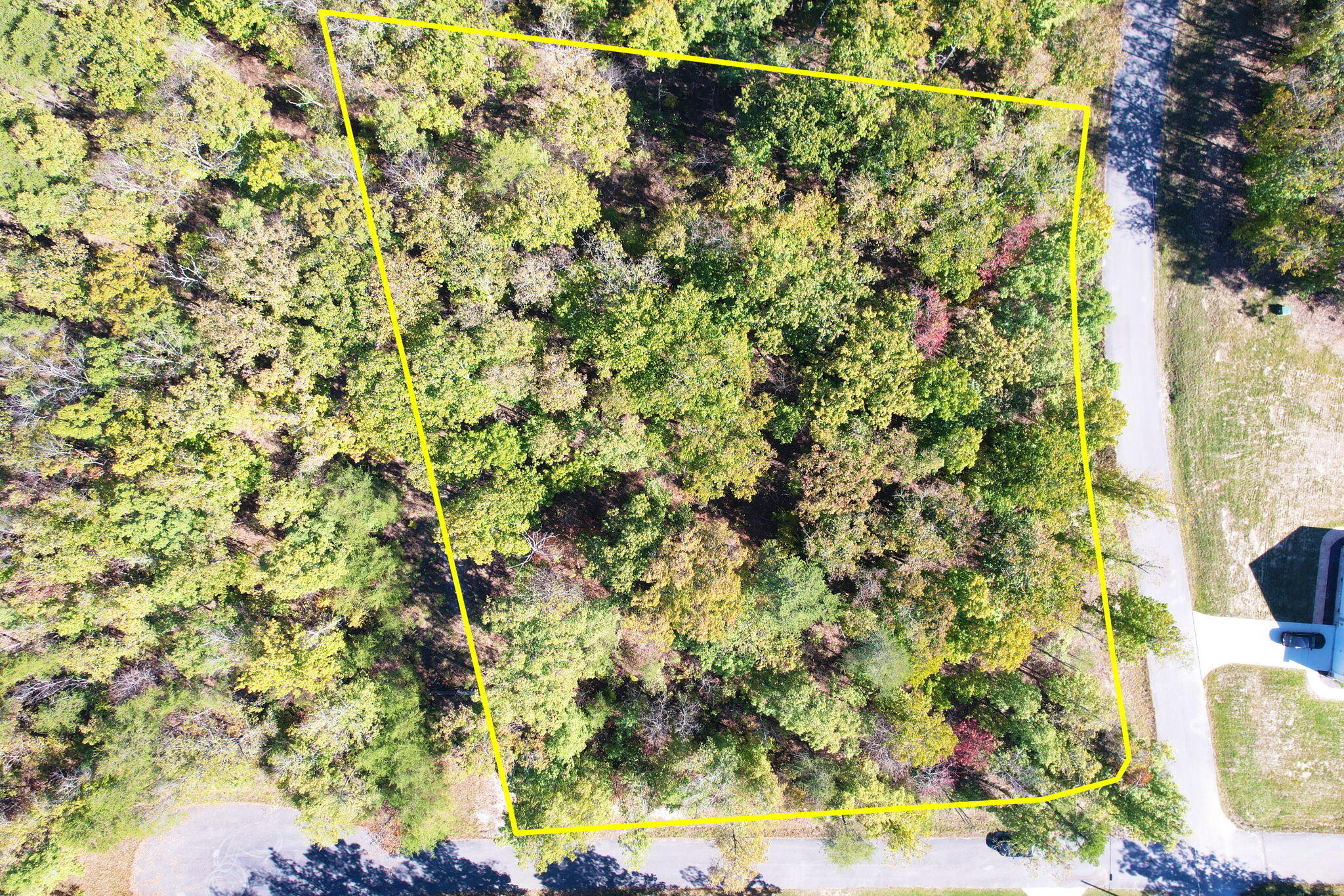 0 Timber View Road Pikeville, TN 37367 - Photo 12 of 14 12-web-or-mls-DJI_00199886