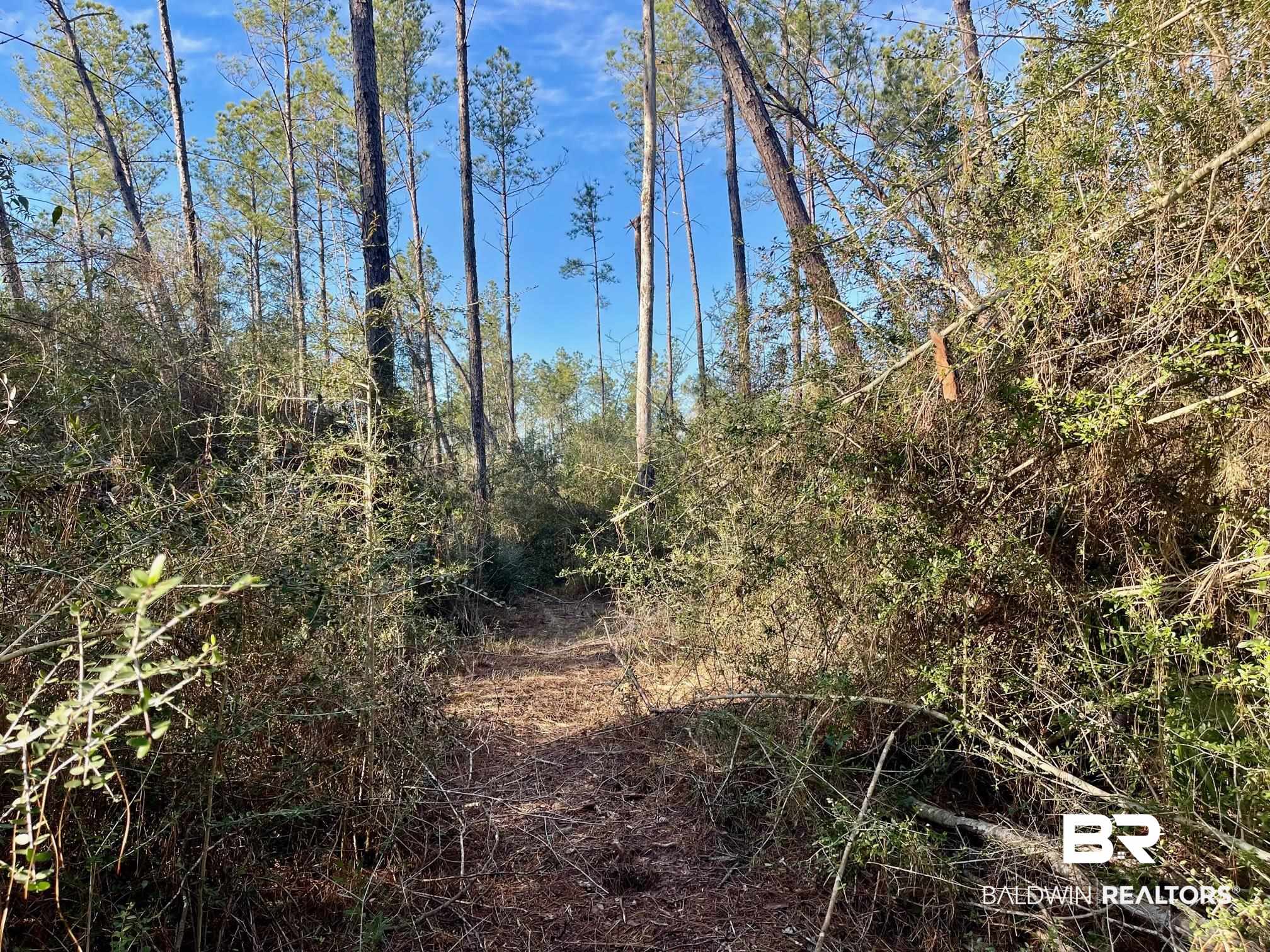 30147 Gardner Road Elberta, AL 36530 - Photo 20 of 28