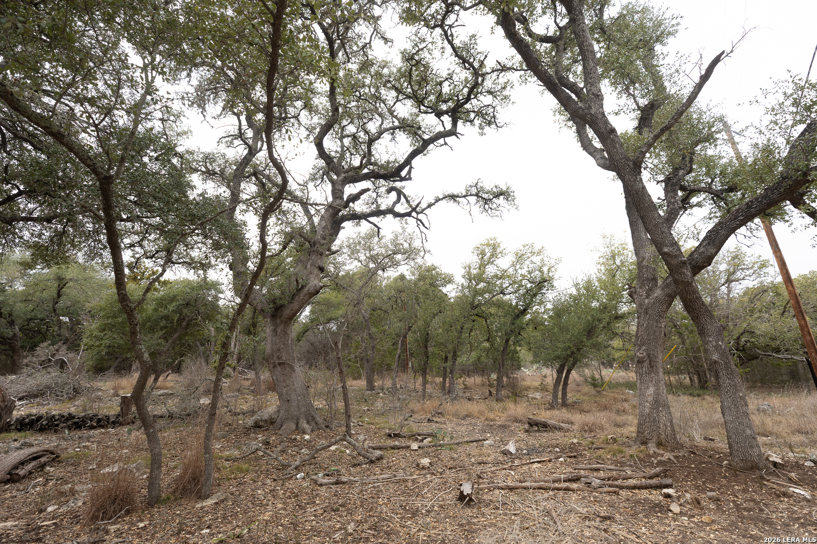 Tbd Tbd Spring Branch, TX 78070 - Photo 5 of 9