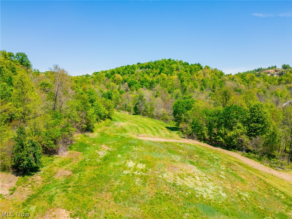 37500 Goose Run Road Dexter City, OH 45727 - Photo 19 of 50