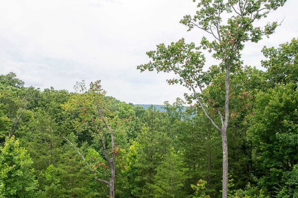 97 Roundtree Court Flintstone, GA 30725 - Photo 9 of 37 RoundTree-40