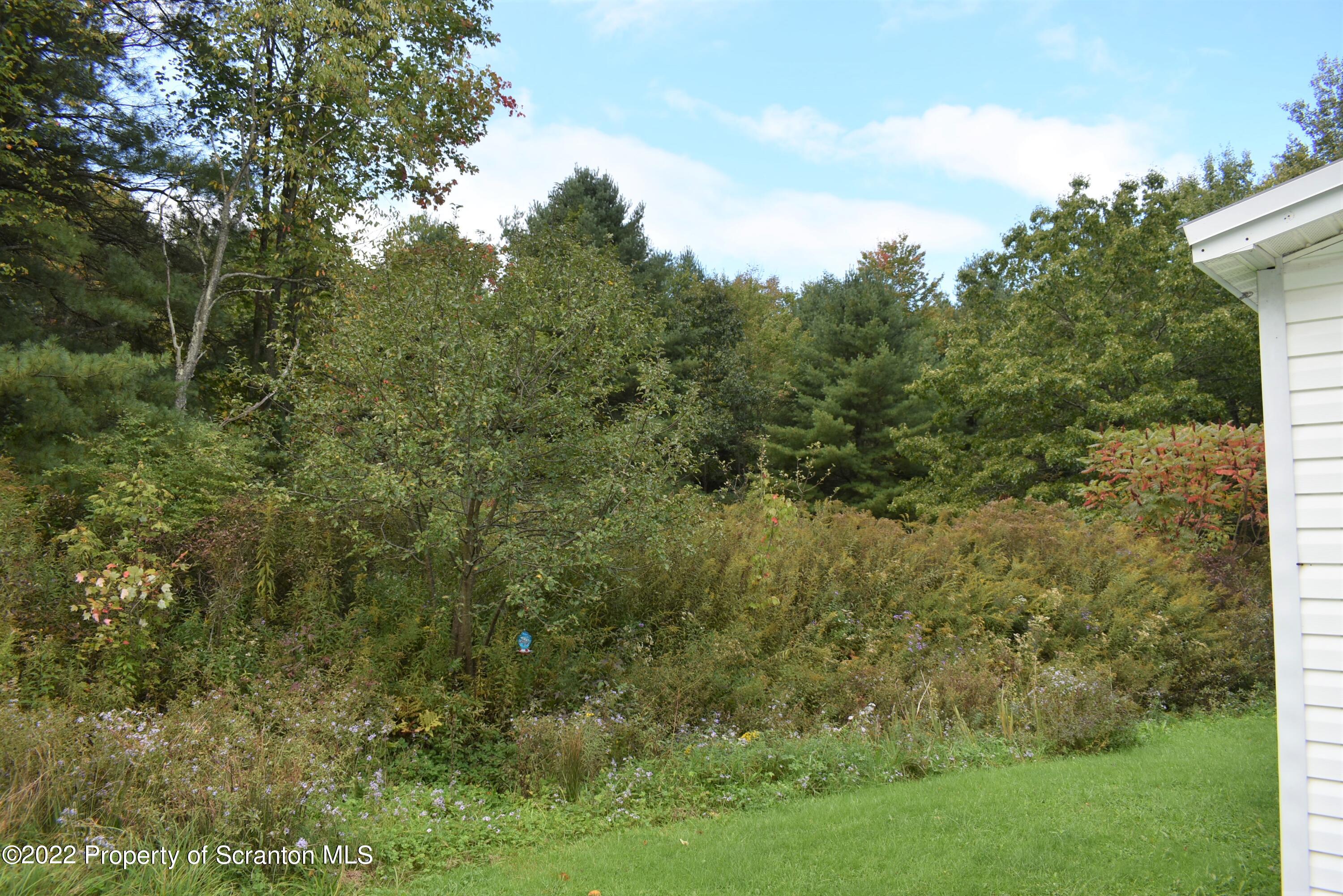 940 Nowlan Road, Unit 49 Port Crane, NY 13833 - Photo 4 of 22 Behind Trailer