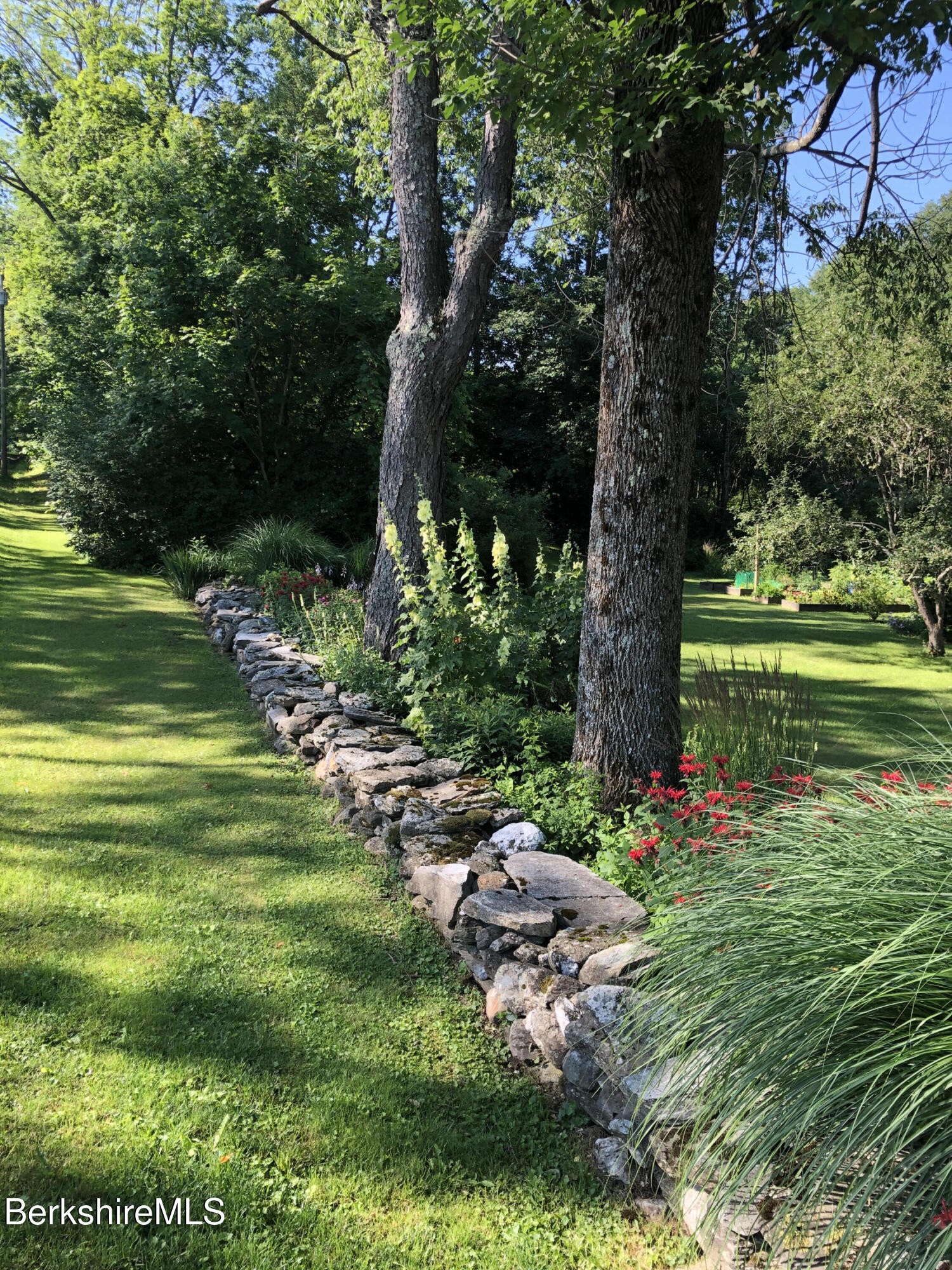 167 Bailey Road Lanesborough, MA 01237 - Photo 59 of 71 a garden with lots of trees and flowers