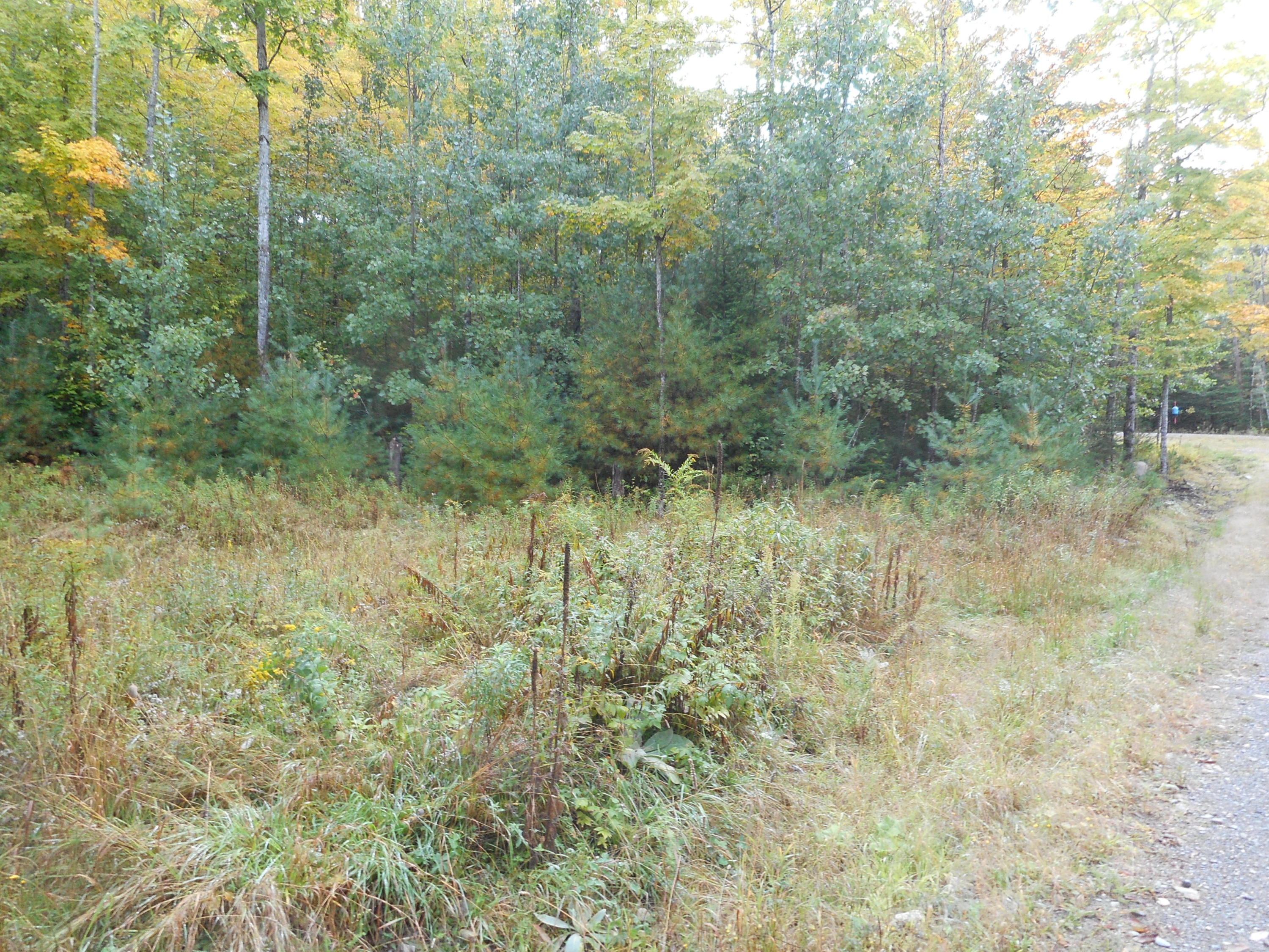 257 Etna Pond Road Carmel, ME 04419 - Photo 5 of 5 DSCN1450