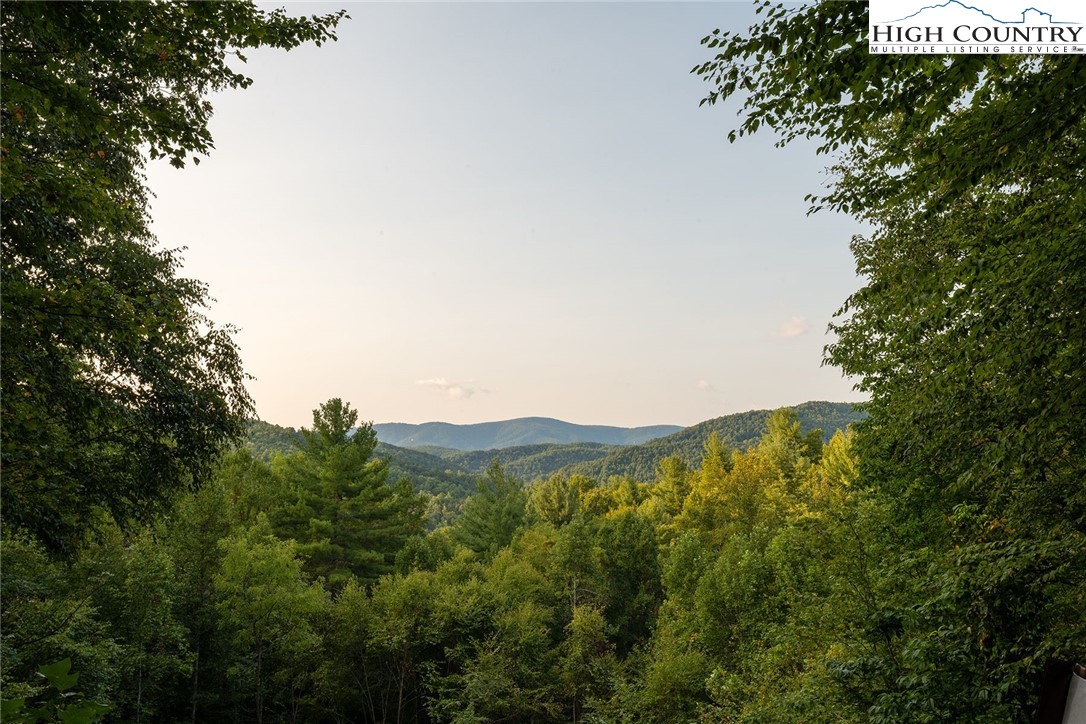 1082 Fox Cove Road Ferguson, NC 28624 - Photo 3 of 22 a view of a mountain