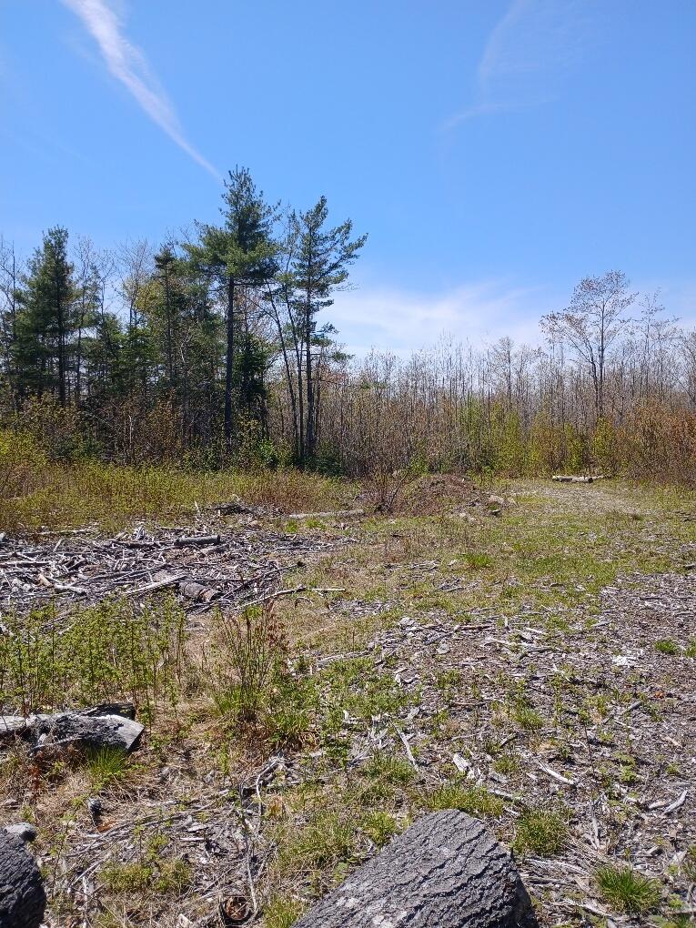 20250513_123006_resized