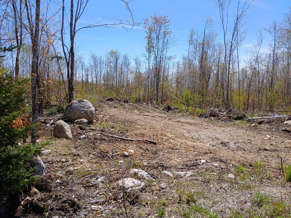 40 Eleanor Mae Road Cherryfield, ME 04622 - Photo 12 of 30 20250513_121317_resized
