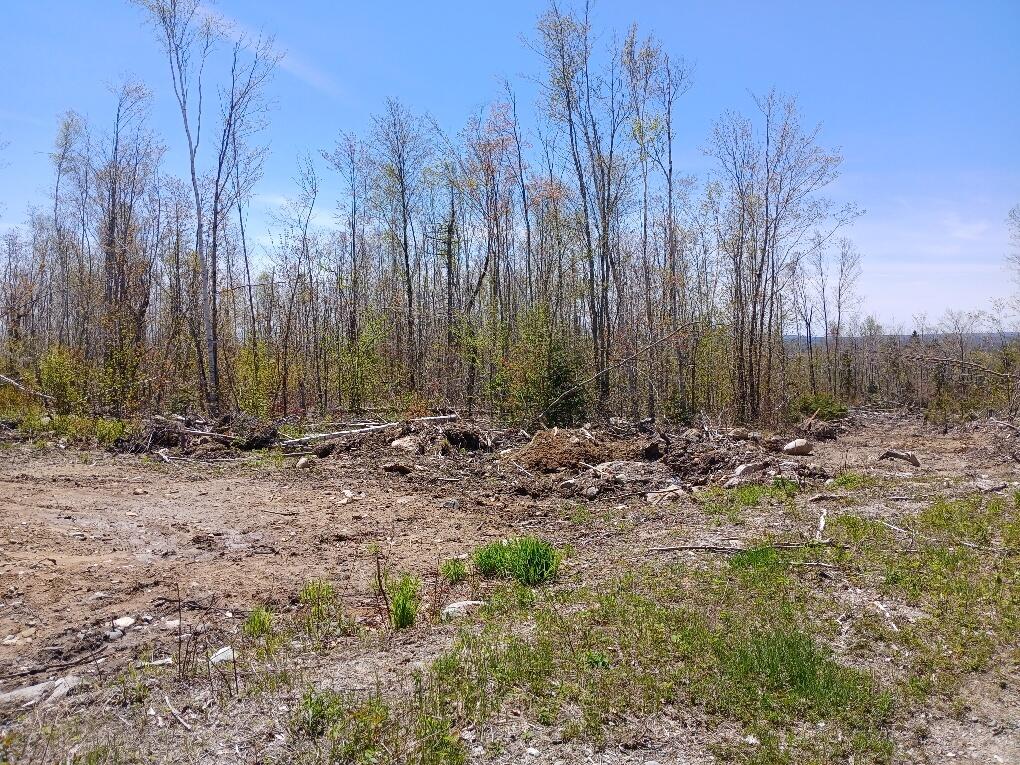 40 Eleanor Mae Road Cherryfield, ME 04622 - Photo 13 of 30 20250513_121319_resized