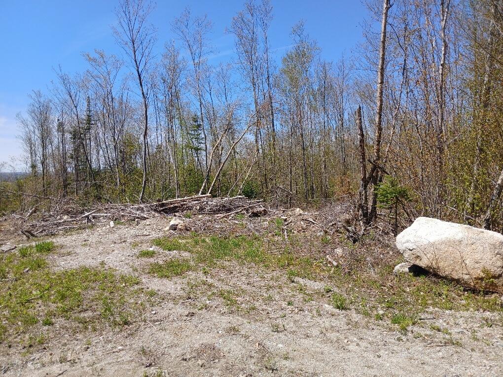 40 Eleanor Mae Road Cherryfield, ME 04622 - Photo 15 of 30 20250513_121322_resized