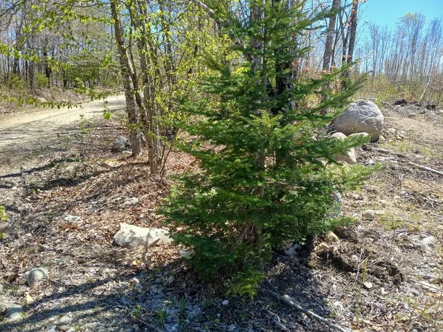 $73,000 | 40 Eleanor Mae Road, Cherryfield, ME 04622