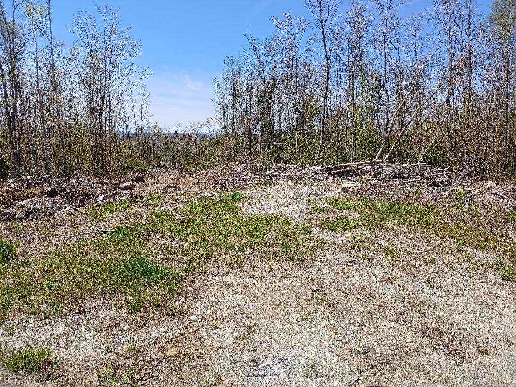 40 Eleanor Mae Road Cherryfield, ME 04622 - Photo 18 of 30 20250513_121333_resized