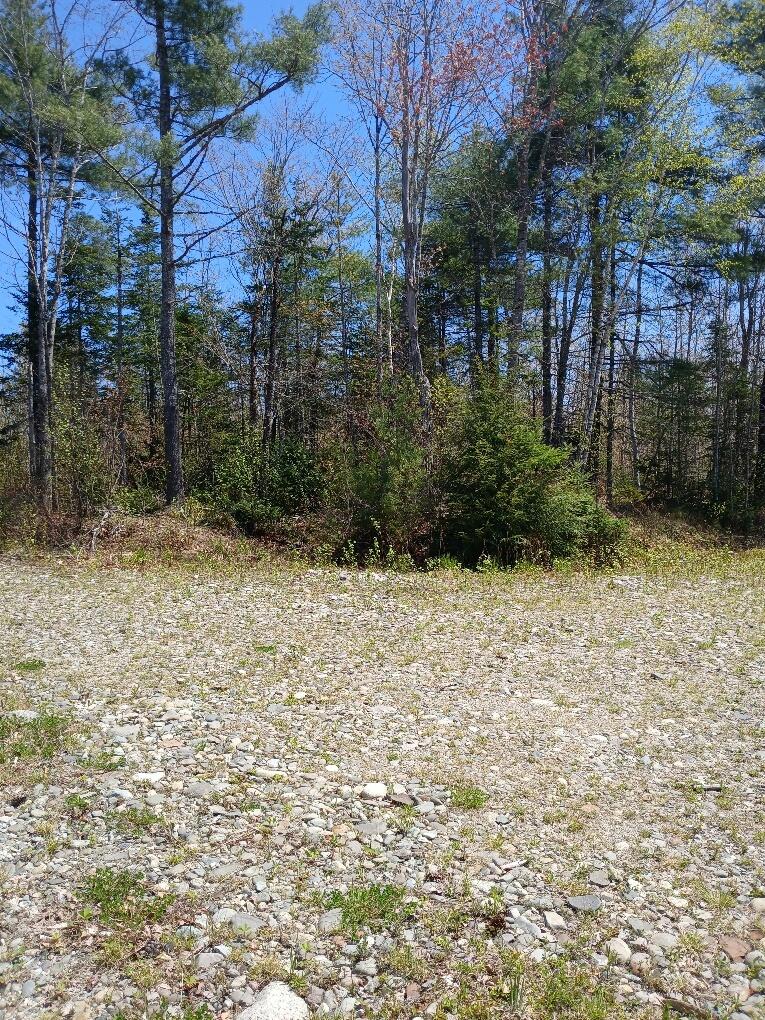 40 Eleanor Mae Road Cherryfield, ME 04622 - Photo 23 of 30 20250513_122906_resized