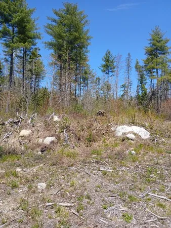 $73,000 | 40 Eleanor Mae Road, Cherryfield, ME 04622