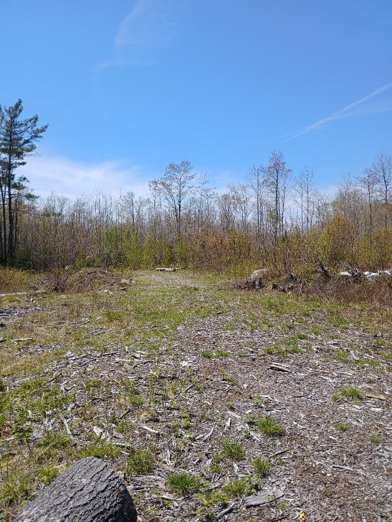 40 Eleanor Mae Road Cherryfield, ME 04622 - Photo 28 of 30 20250513_123005_resized