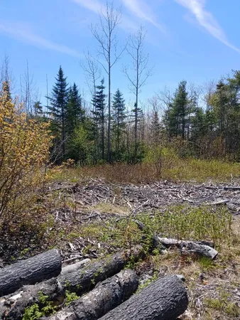 $73,000 | 40 Eleanor Mae Road, Cherryfield, ME 04622