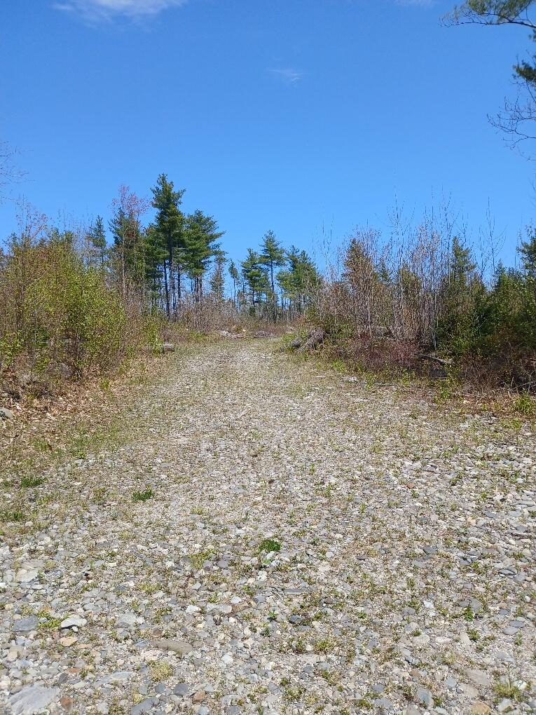 40 Eleanor Mae Road Cherryfield, ME 04622 - Photo 3 of 30 20250513_122846_resized