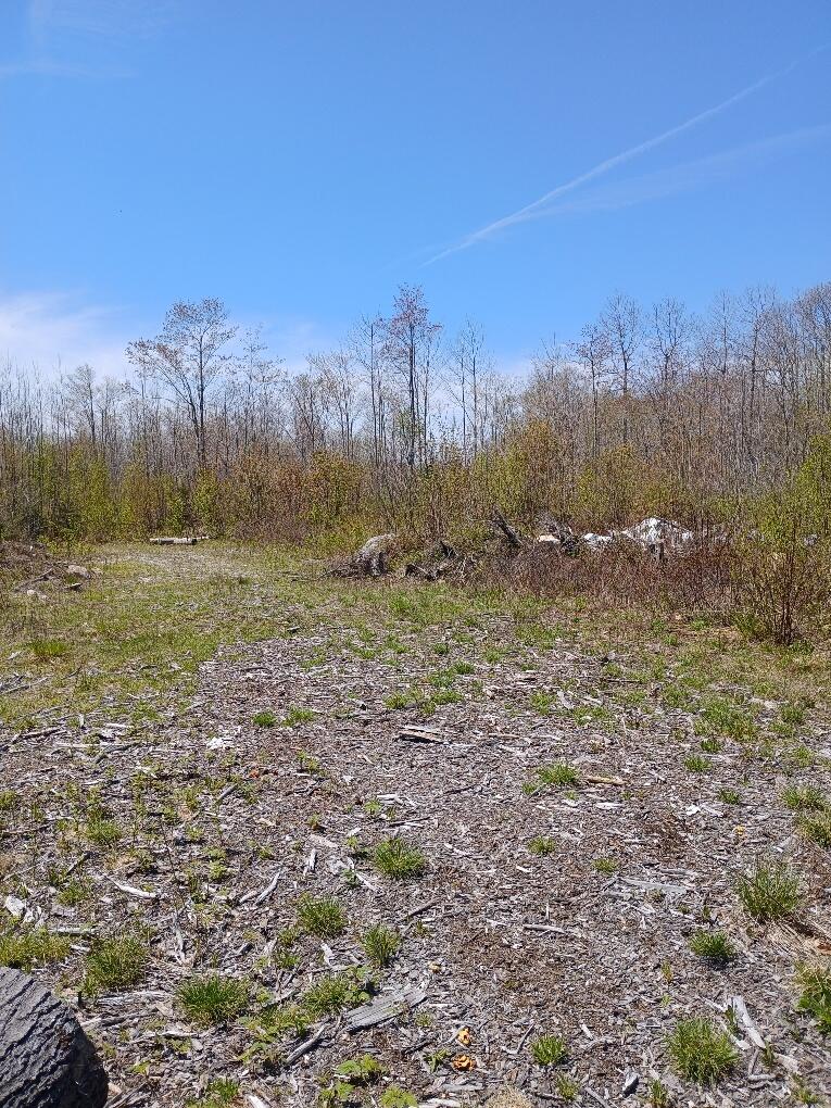 40 Eleanor Mae Road Cherryfield, ME 04622 - Photo 5 of 30 20250513_123011_resized