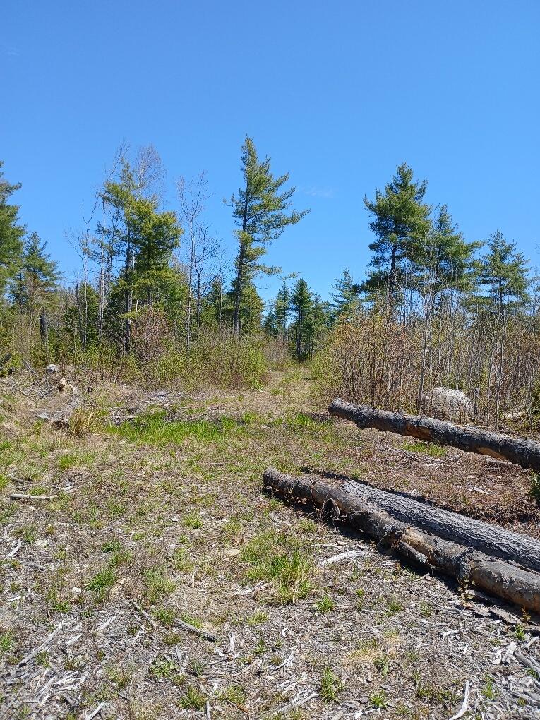40 Eleanor Mae Road Cherryfield, ME 04622 - Photo 7 of 30 20250513_123019_resized